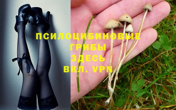 спайс Абаза
